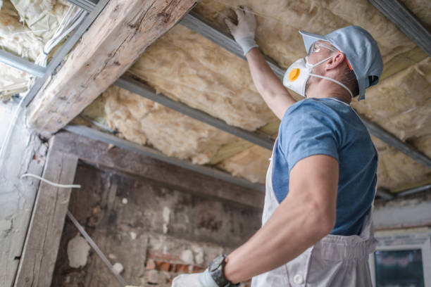 Best Geographic-Specific Insulation Services in Pea Ridge, AR
