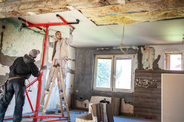 Best Cellulose Insulation in Pea Ridge, AR